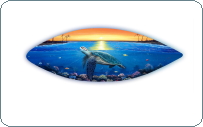 Original surfboard wall art painting by Gary Boswell