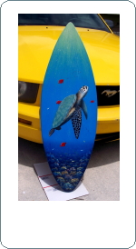 fish sea turtle painted surfboard