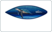sea turtle shark hand painted surfboard