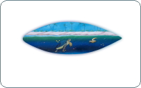 turtle hamdcrafted hand painted surfboard