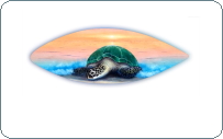 sea turtle on beach surf hand painted surfboard
