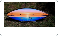 Sea Turtle dolphins sunset hand painted surfboard