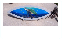Sea Turtle and coral hand painted surfboard