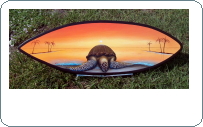 Sea Turtle orange sunset hand painted surfboard